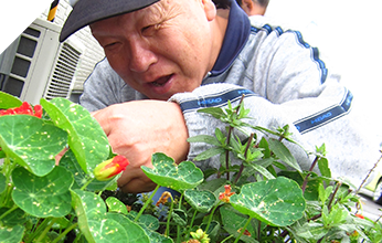 山の学校